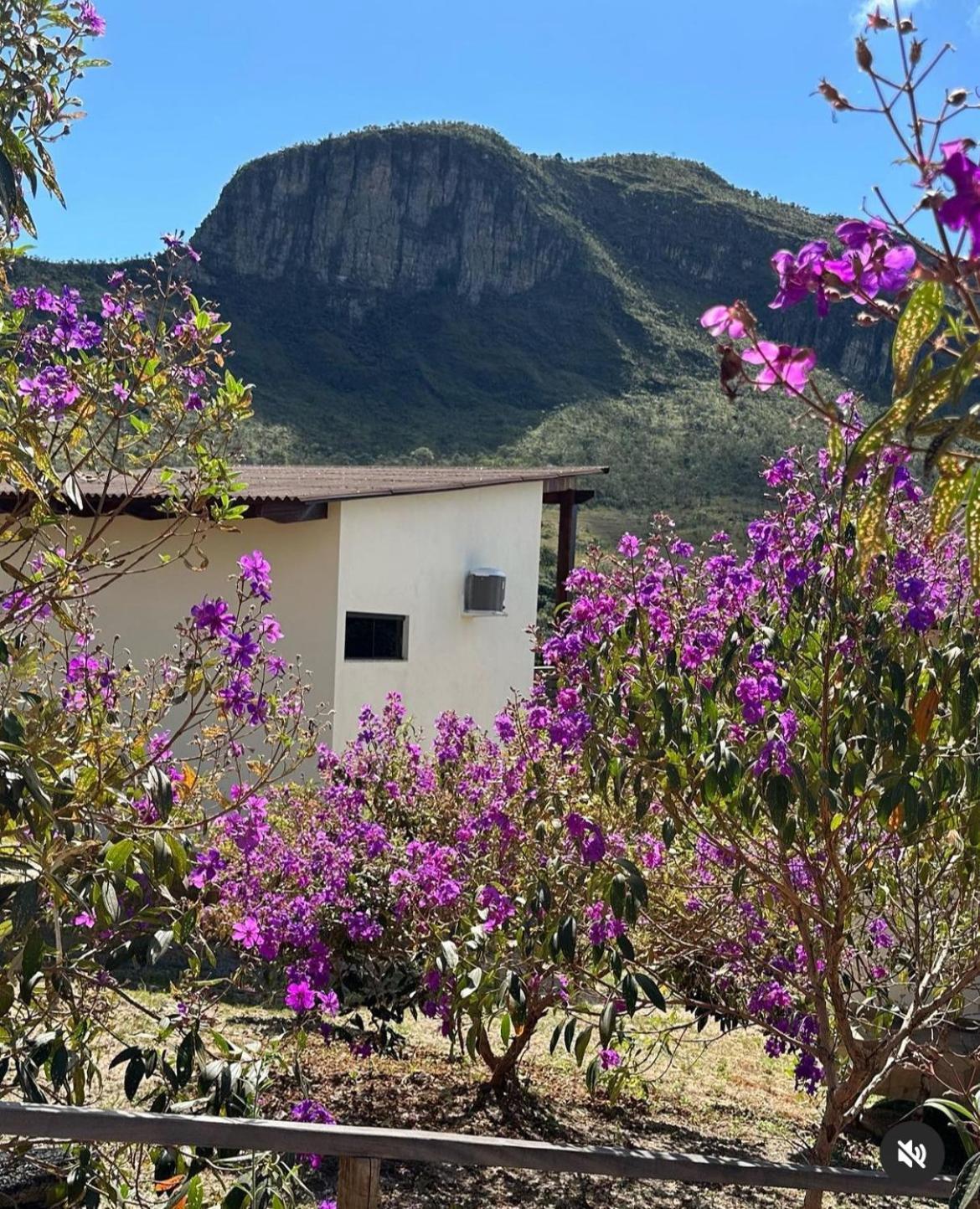 Pousada Rancho Dos Ipes Alto Paraíso de Goiás Eksteriør bilde