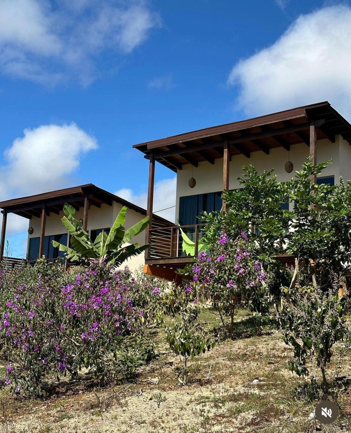 Pousada Rancho Dos Ipes Alto Paraíso de Goiás Eksteriør bilde
